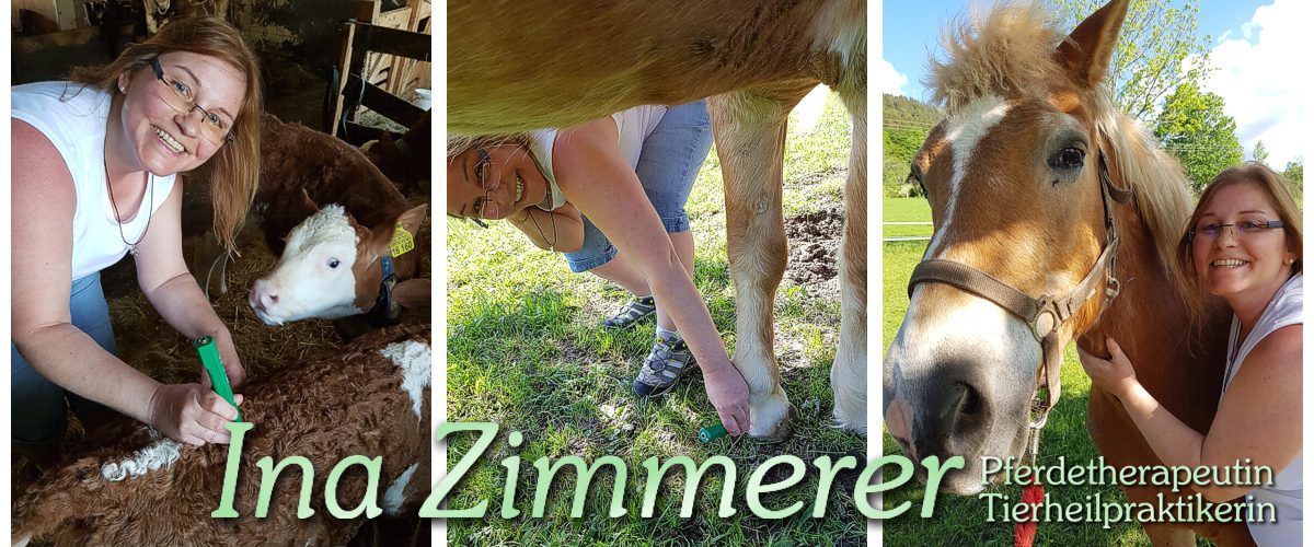 titel_3_bilder_1200x500