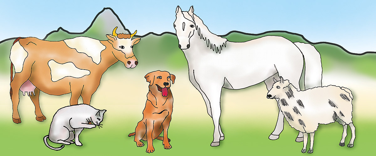 titel_tiere_viska_ina_z_2019